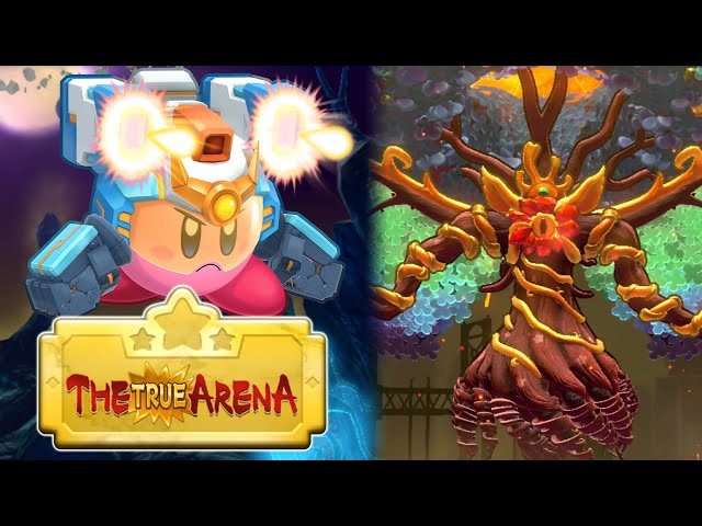 THE FATED BATTLE AGAINST THE TRUE FINAL BOSS!!! Kirby's Return to Dream Land Deluxe - The True Arena