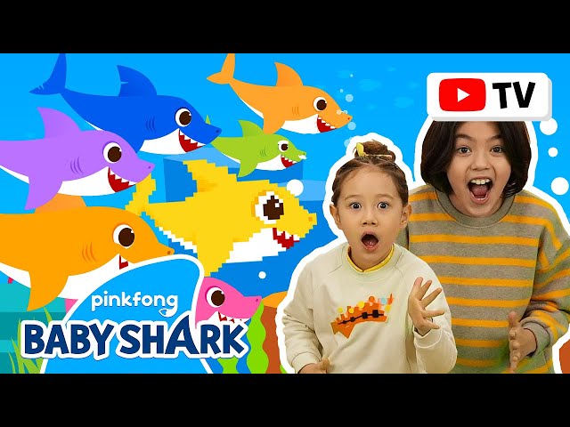 [4k] Baby Shark More and More | Kids Choreography | Dance Along | Baby Shark Official