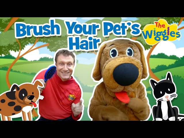 Brush Your Pet's Hair | Kids Songs | The Wiggles