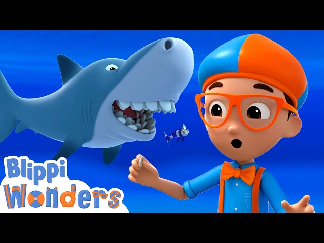 Blippi's Ocean Shark Adventure! - Blippi Wonders | Educational Cartoons for Kids