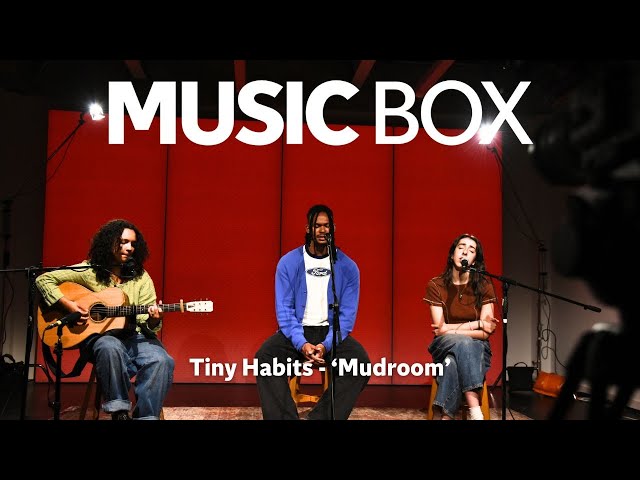 Tiny Habits 'Mudroom' acoustic performance on Music Box