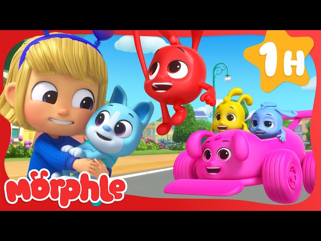 The Magic Pet Pup Race | Cartoons for Kids | Mila and Morphle
