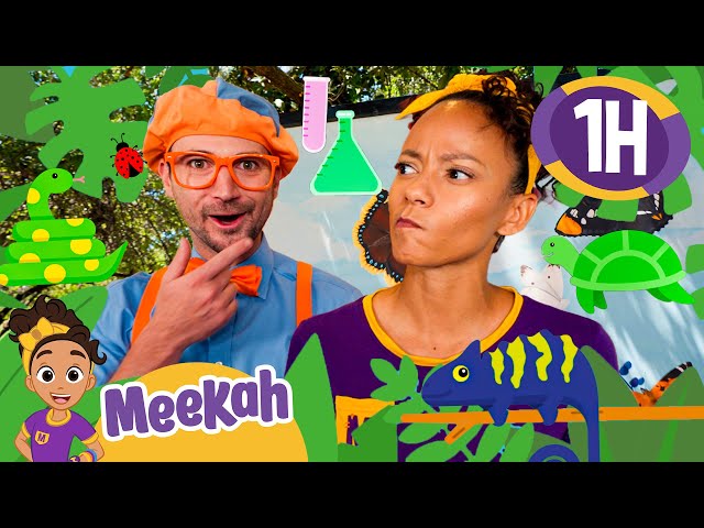 Science and Animal Scavenger Hunt | Educational Videos for Kids | Blippi and Meekah Kids TV