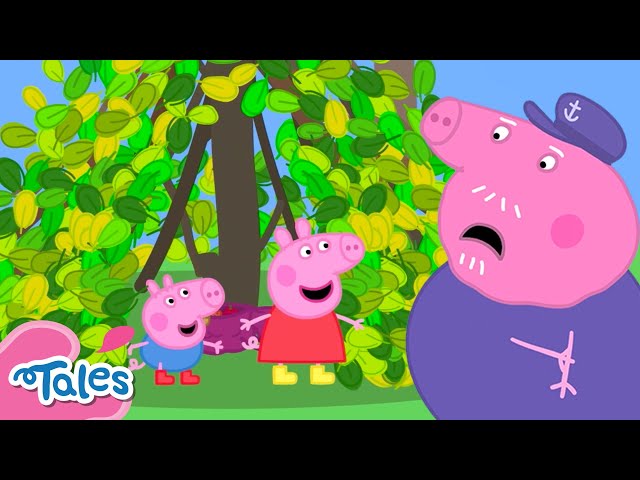Grandpa Pig's Garden Den 🍃 | Peppa Pig Tales