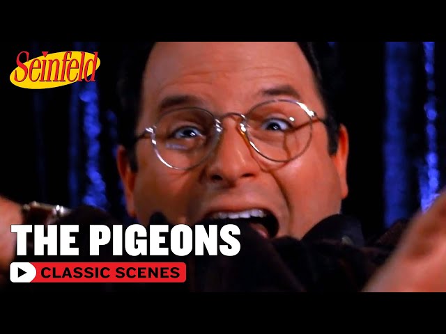 George Vs. The Birds | The Merv Griffin Show | Seinfeld
