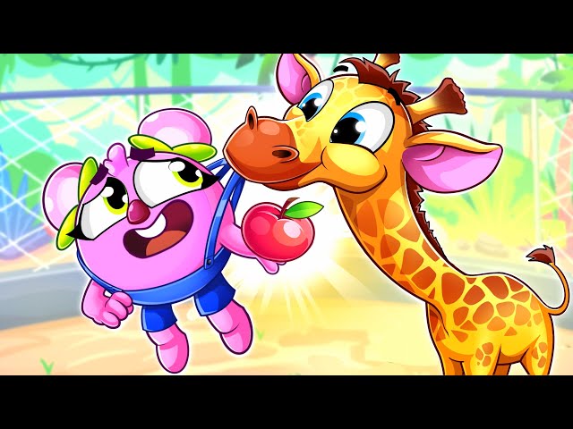 Let's Go to the Zoo Song 😻🐨🐰🦁 | Funny Kids Songs And Nursery Rhymes by Baby Zoo
