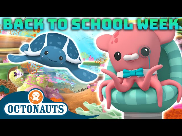 ​@Octonauts - How Many of these Sea Creatures Can You Name? 🐙 | Back to School Week! 🎒🚌 | 60 Mins+