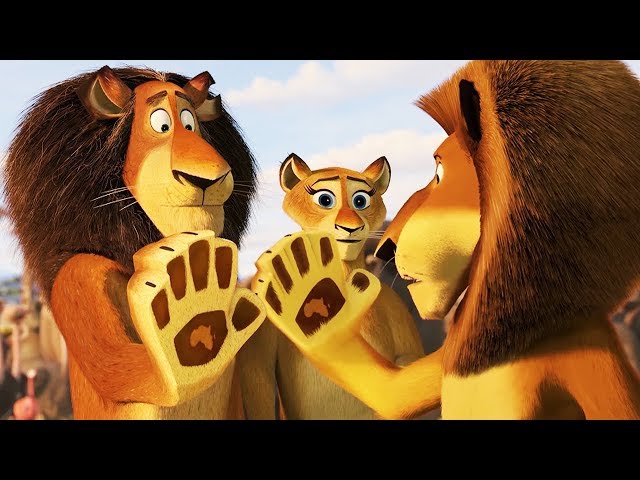 DreamWorks Madagascar | Alex Reunites With His Family | Madagascar : Escape 2 Africa | Kids Movies