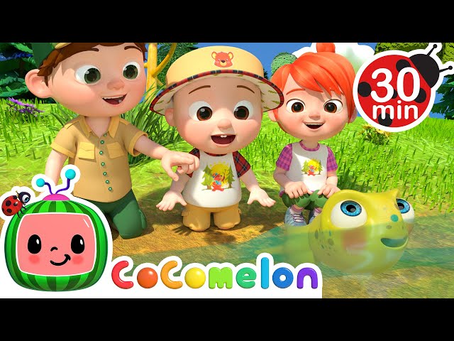 Down by the Pond + MORE CoComelon Nursery Rhymes & Kids Songs
