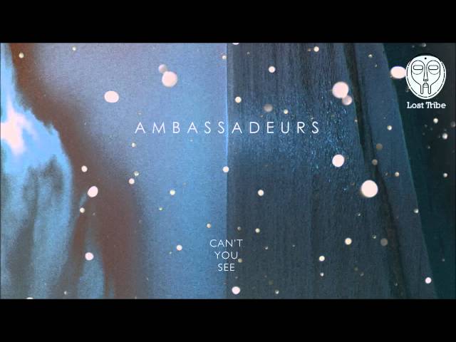 Ambassadeurs - Can't You See
