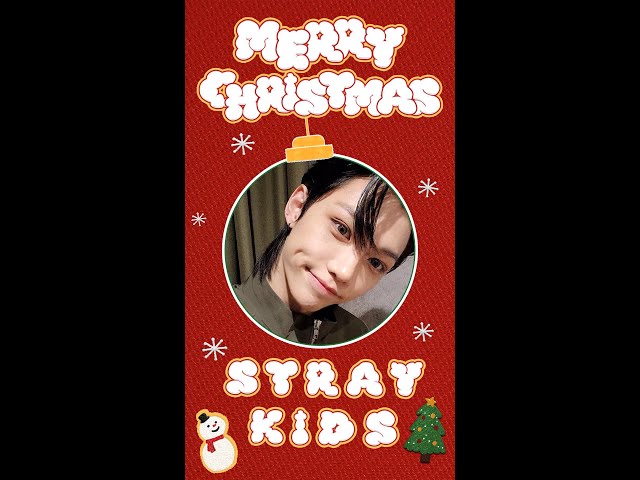 STAY❕Merry Christmas🎄❄️ #StrayKids