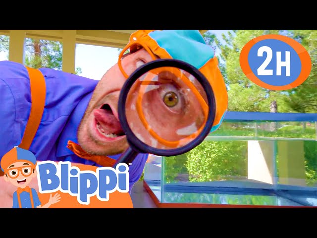 Sink or Float? V3 | | BEST OF BLIPPI TOYS | Educational Videos for Kids