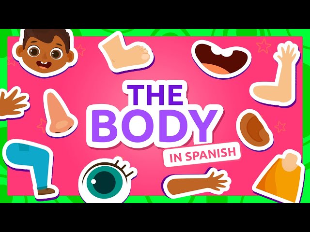PARTS of the BODY for Kids in Spanish 💆‍♀️💪🦵 Bilingual Spanish Vocab for Kids 👁️ Compilation