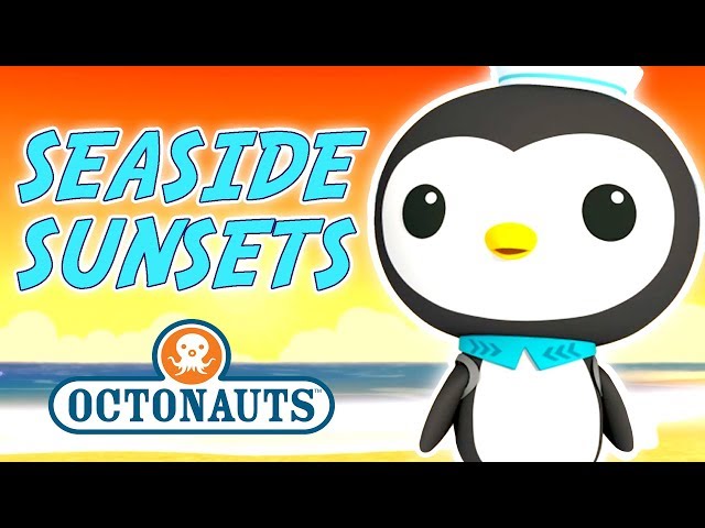 Octonauts - Seaside Sunset | Cartoons for Kids | Underwater Sea Education