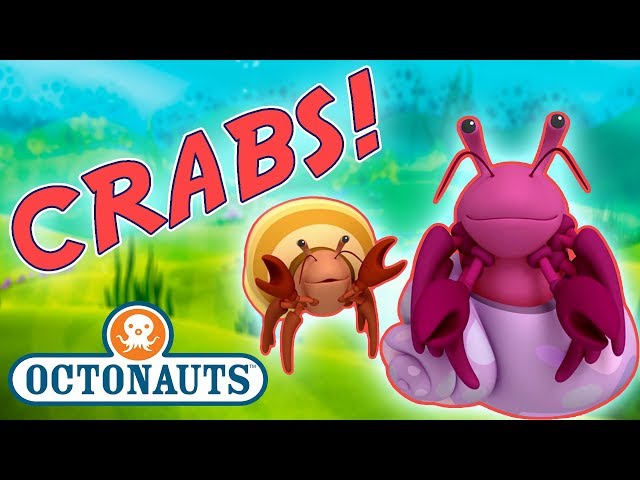 Octonauts - Learn about Crabs | Cartoons for Kids | Underwater Sea Education