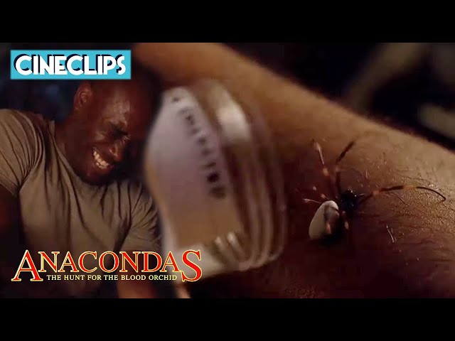 Jack Poisons Gordon With A Venomous Spider | Anacondas: The Hunt For The Blood Orchid | CineClips