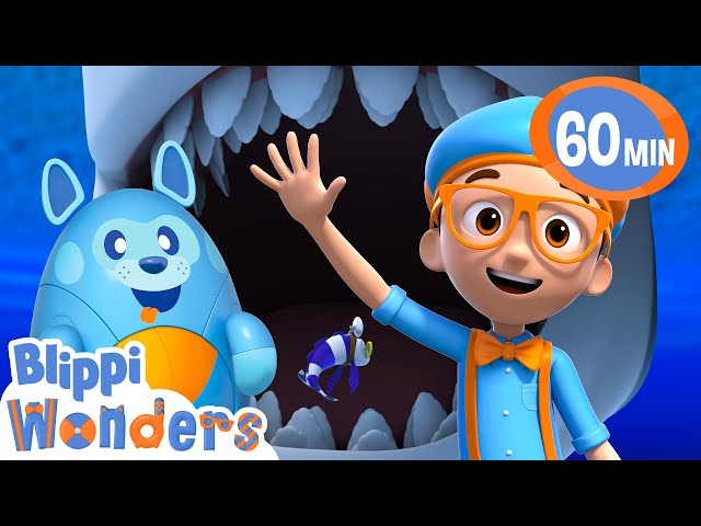 Blippi visits a Shark's Mouth?! | Blippi Wonders Educational Videos for Kids