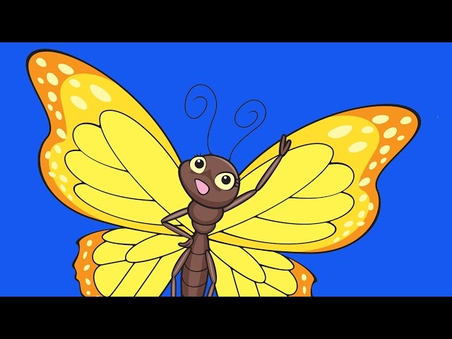 Learn Bugs Vocabulary | Talking Flashcards