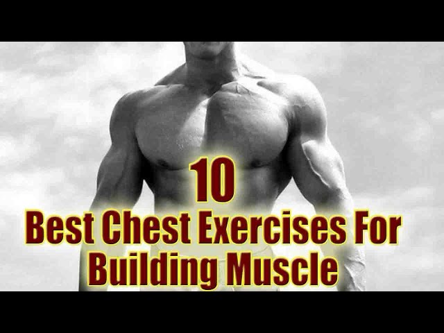 10 Most Effective Chest Exercises | Chest Day