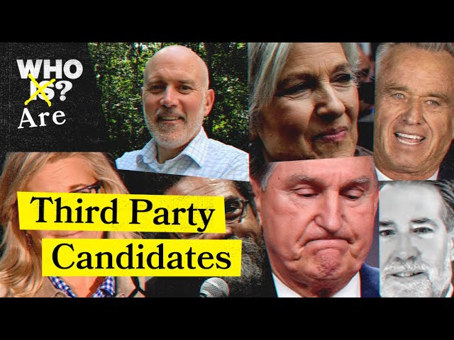 Who Are the Third-Party + Independent Candidates Running for President?