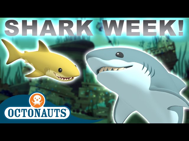 ​@Octonauts - Awesome Sharks 🦈 | 70 Mins+ Shark Week Special! | Underwater Sea Education