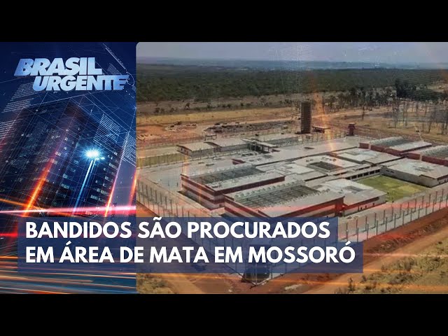 Polícia faz buscas no meio da mata por fugitivos em Mossoró | Brasil Urgente