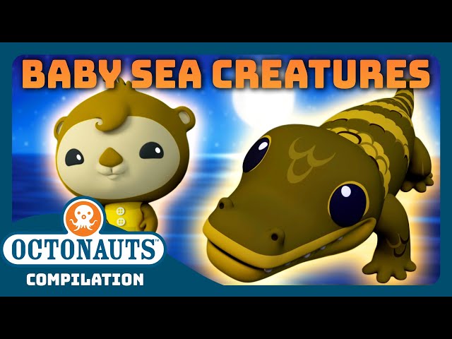 @Octonauts - 🦦 Cutest Baby Sea Creatures 🐬 | 2 Hours+ Full Episodes Marathon | Explore the Ocean