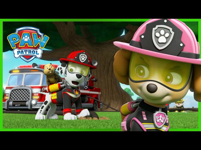 Pups Save the Opening Ceremonies! - PAW Patrol Episode - Cartoons for Kids