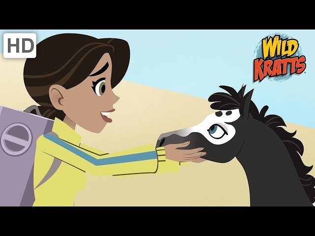 Wild Kratts  - Precious Animals | Kids Videos