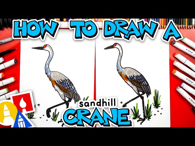How To Draw A Sandhill Crane Bird