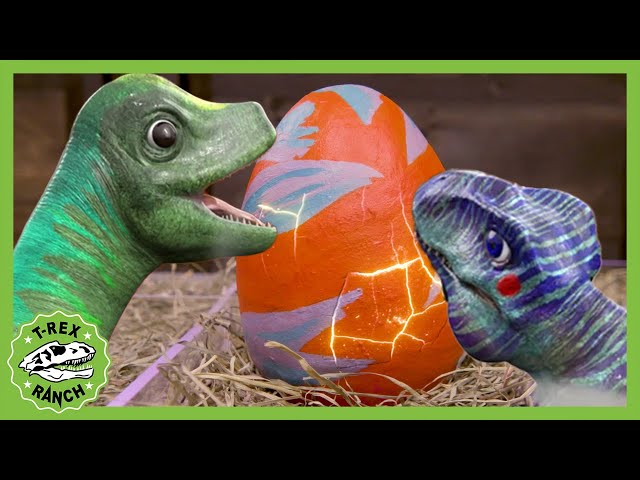 NEW! Baby Dinos Everywhere Song! T-Rex Ranch Dinosaur Videos