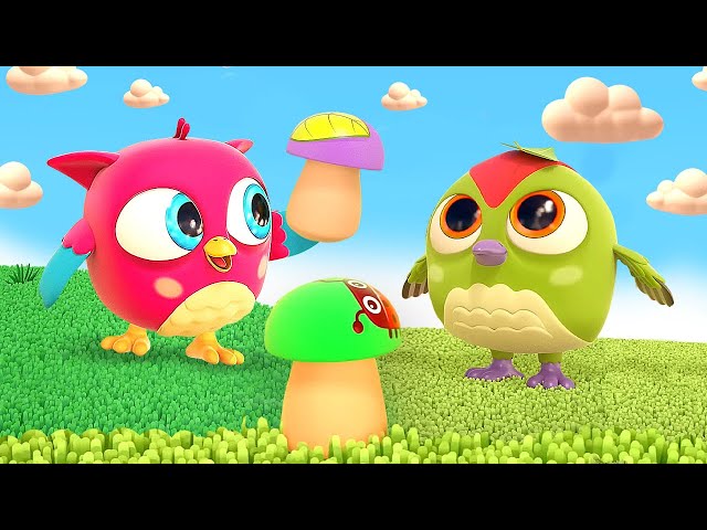 Kartun bayi & video bayi untuk anak | Hop Hop si Burung Hantu & mainan baru untuk bayi