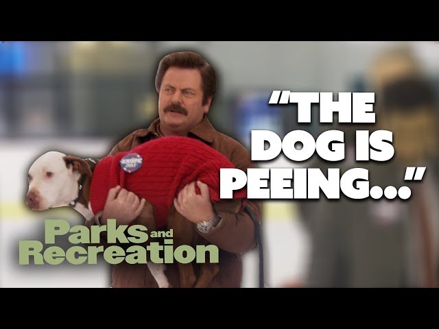 GET ON YOUR FEET | Parks and Recreation | Comedy Bites