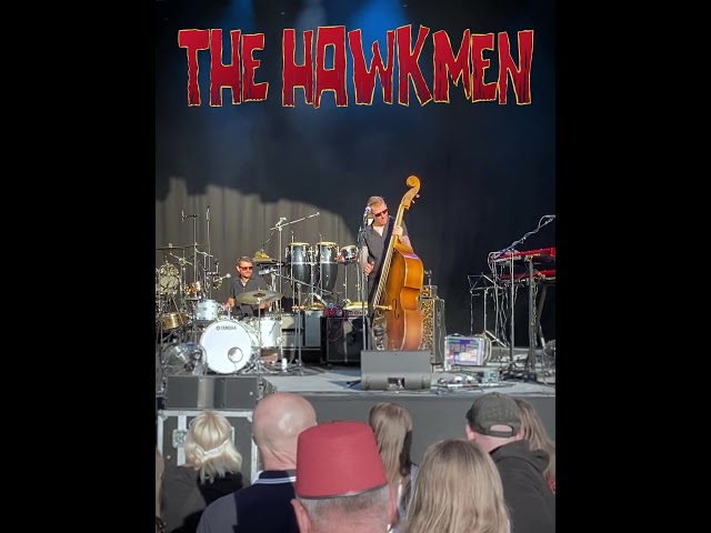 The Hawkmen 'Baby Tonight' supporting Madness at Forest Live - 8th June 2023 #shorts