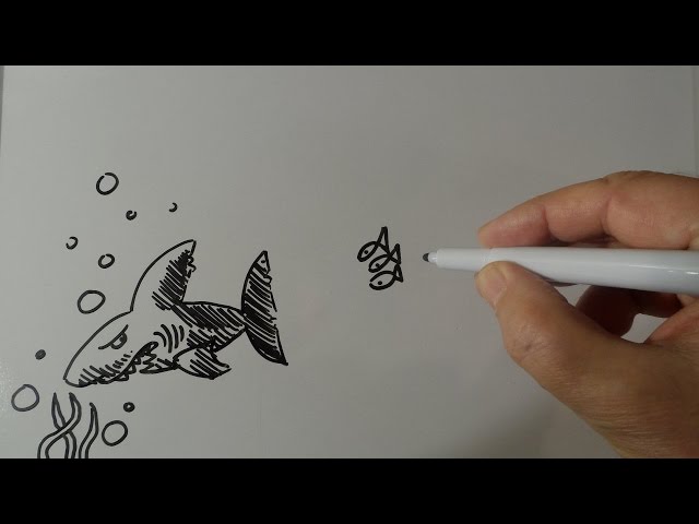 The Force, Drawing a Shark Cartoon, Situation Caricature