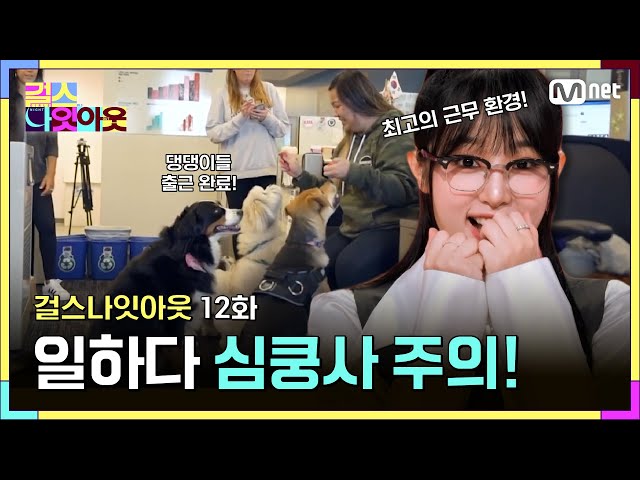 [12화] 반려동물과 함께 출근하는 시대! #걸스나잇아웃 | Mnet 230612 방송