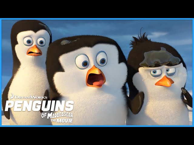 How the Penguins came to be THE PENGUINS | DreamWorks Madagascar