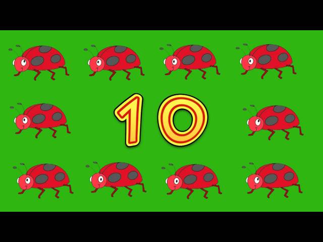Counting with Bugs - Simple Skits
