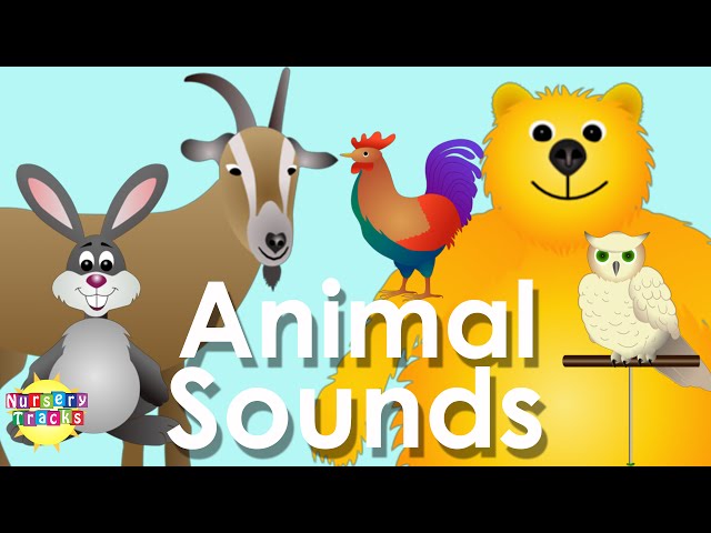 Best Animal Sounds Song Part 2