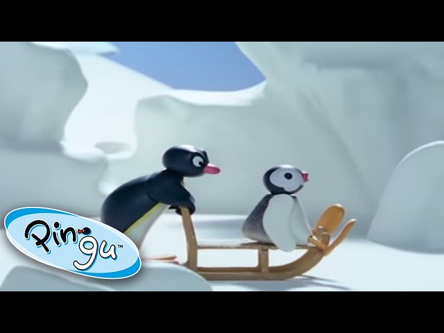 Pingu Goes Sleighing! 🛷 ❄️ @Pingu | Cartoons for Kids