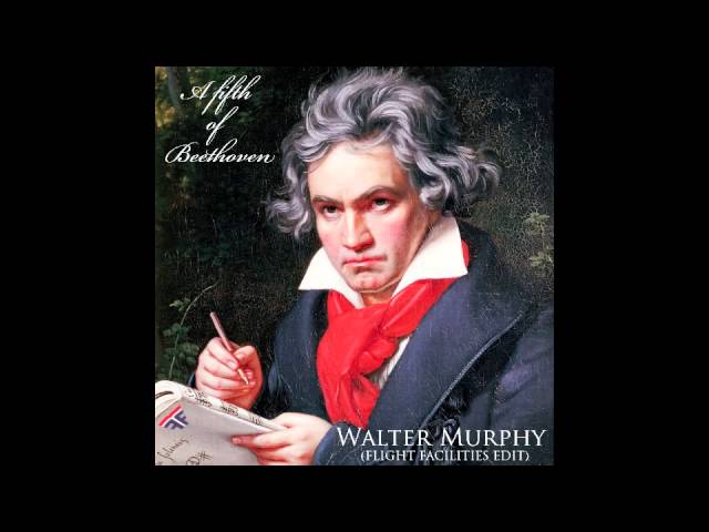 Walter Murphy - A Fifth of Beethoven (Flight Facilities Edit)