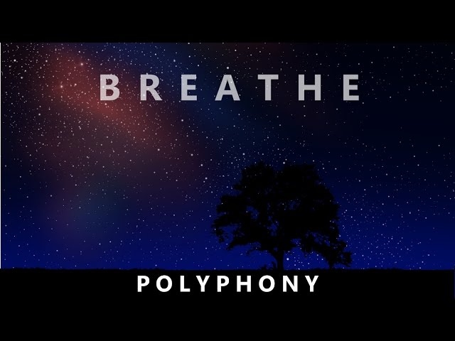 Polyphony - Original Composition by Laura Platt