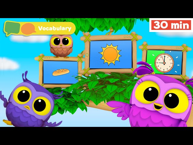 Hoot, Scoot & What - New Show | Learn Vocabulary for Kids | First Words & ABC alphabet for Babies