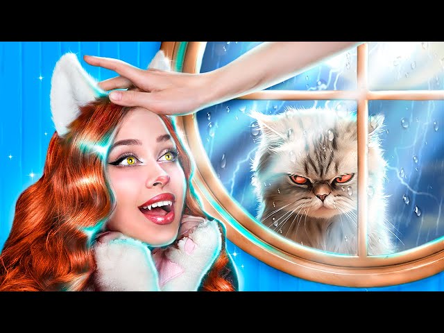I Became a Cat in Real Life! My New Funny Story! A Day in the Life of a Cat!