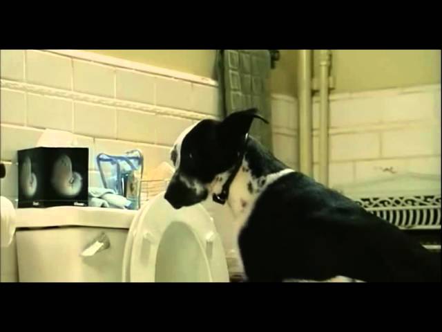 Bruce Almighty: Dog in the Bathroom