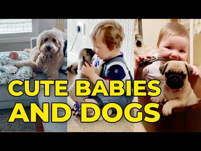 The Cutest Babies and Dogs