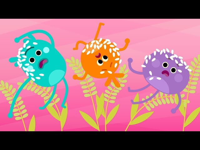 Tricky Sticky Rice Dumplings | Cartoon For Kids | The Bumble Nums