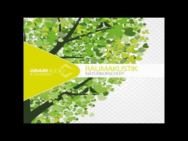 Raumakustik - Traumtanzen (Remix By Bunched)