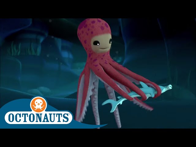 Octonauts - Saving the Shark | Cartoons for Kids | Underwater Sea Education