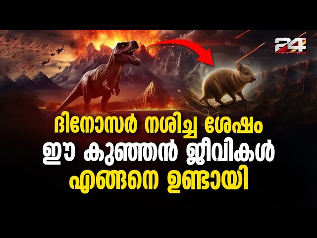 പശുക്കളുടെയും പന്നികളുടെയും മുൻഗാമികളാണ് ഈ കുഞ്ഞൻ ജീവികളെന്ന് പഠനം Animal After Dinosaurs Extinction